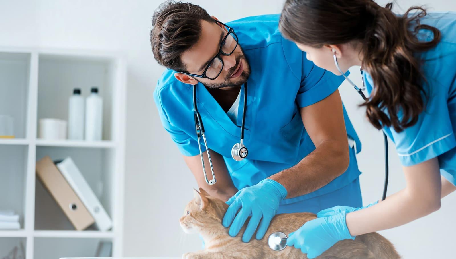 Comfortable, Noninvasive Treatment Option