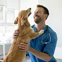 Routine & Preventive Care