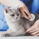Specialized Medical Care