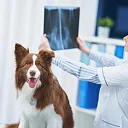 Advanced Diagnostics