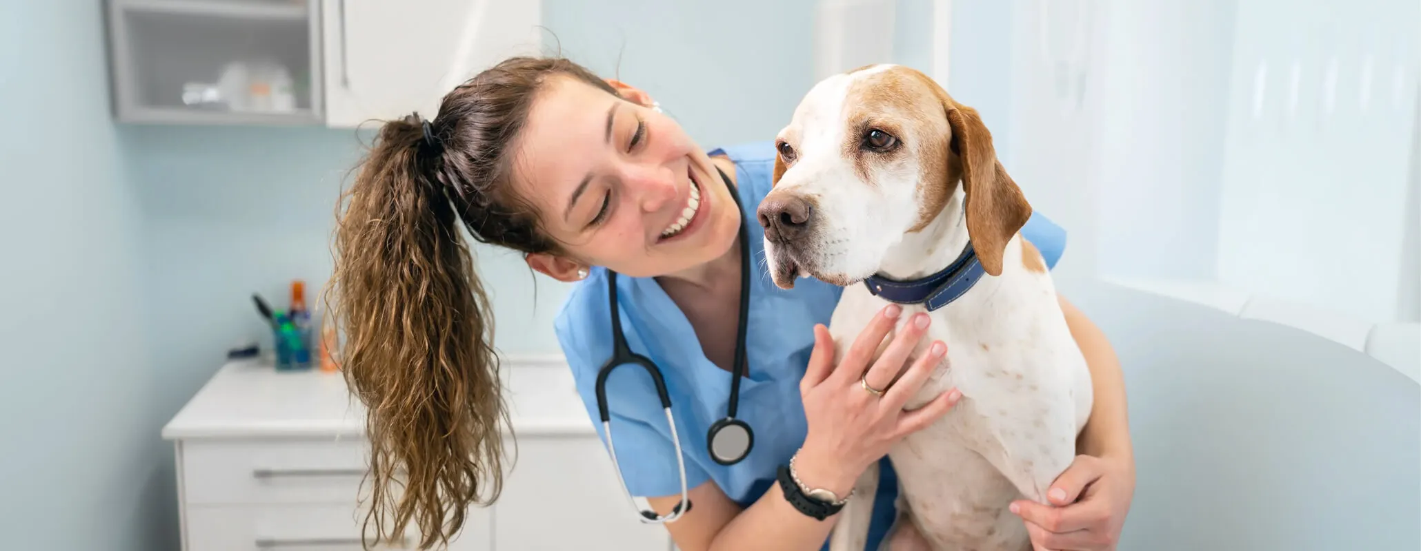 Associate veterinarians with a patient at Blue Sky Animal Hospital