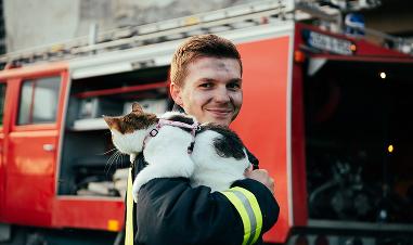 5 Tips to Promote Fire Pet Safety in Your Home