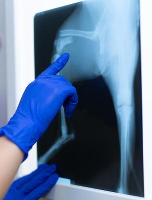 Diagnostic Imaging