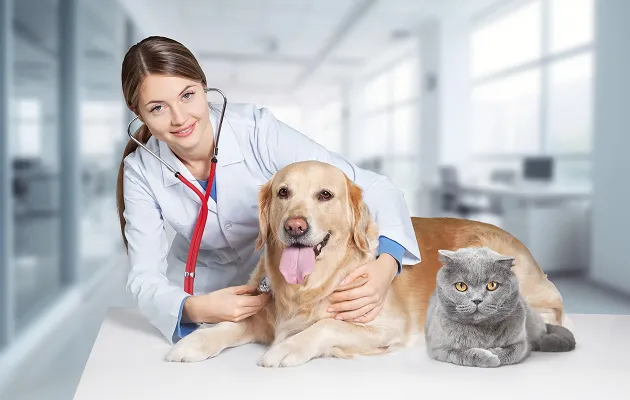 Dedicated Service