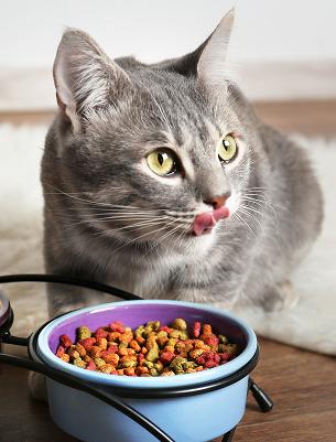 Nutritional Counseling