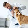 Dental care & Teeth cleaning
