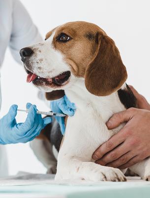 Vaccinations